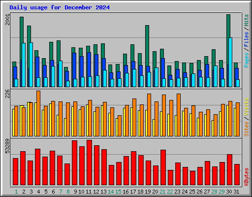 Daily usage for December 2024