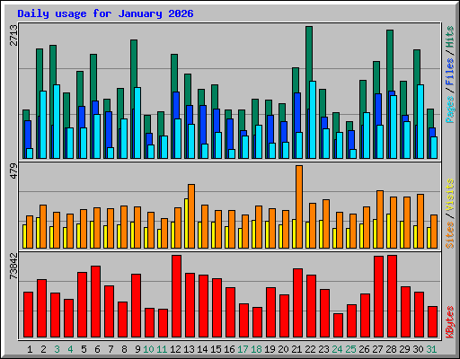 Daily usage for January 2026