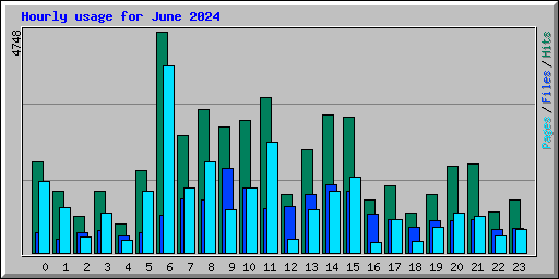 Hourly usage for June 2024