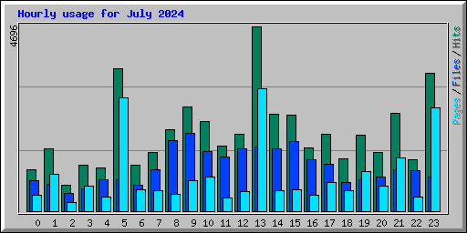 Hourly usage for July 2024