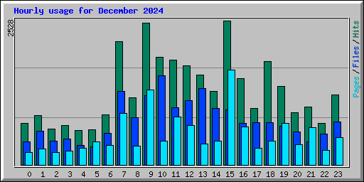 Hourly usage for December 2024