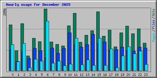Hourly usage for December 2025