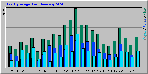 Hourly usage for January 2026